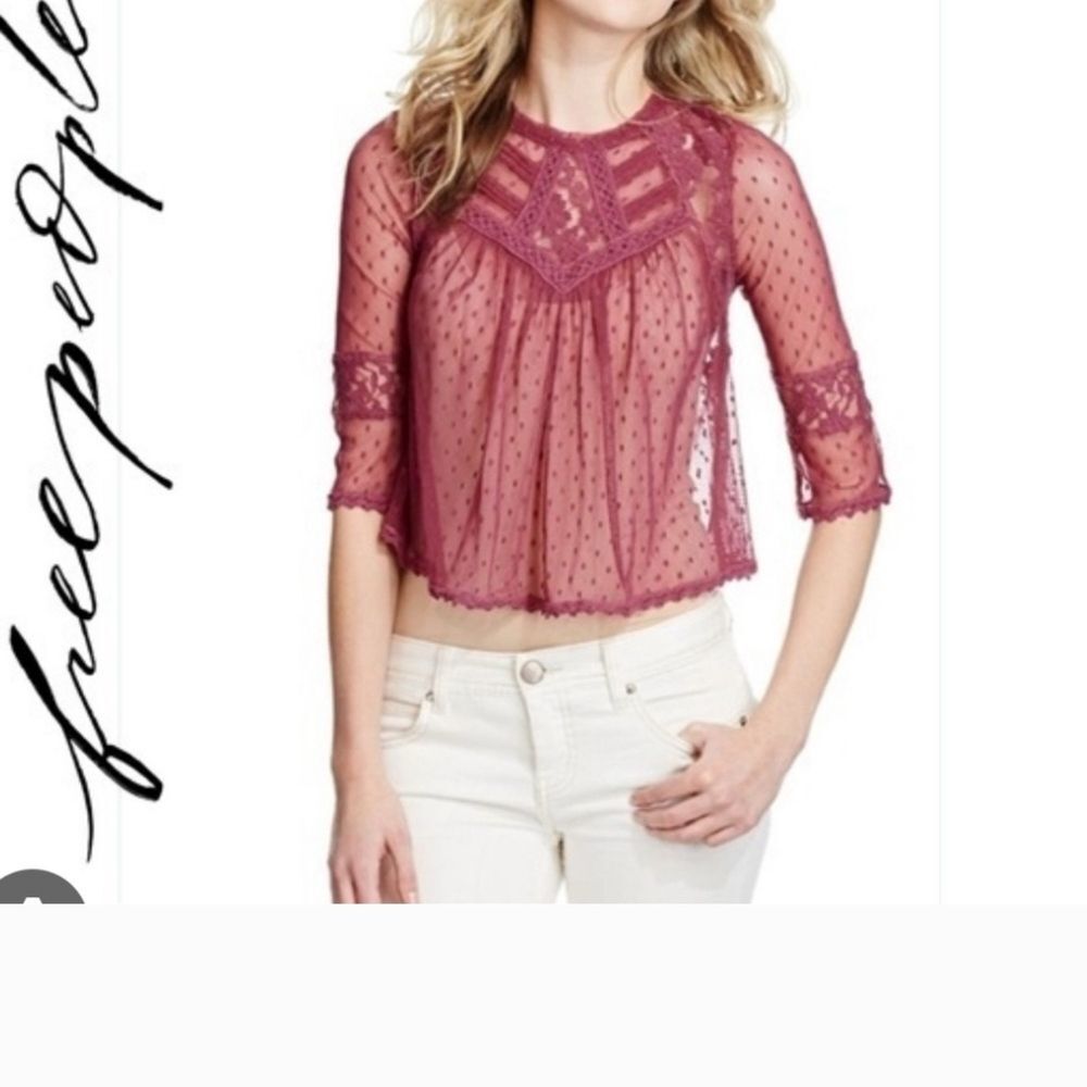 Free People Wine/burgundy Swiss Dot Cropped Lace Sheer  Blouse Size Small